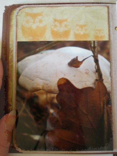 Mini balade d'automne (15)