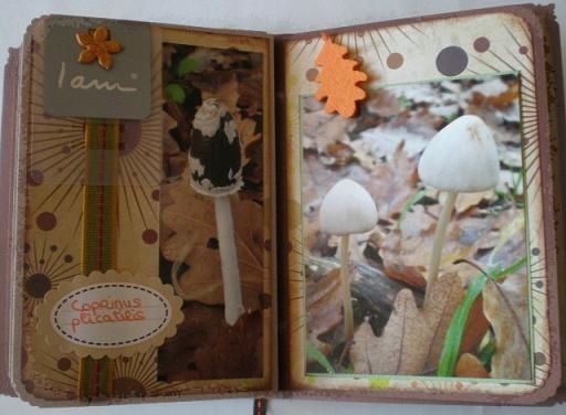 Mini balade d'automne (23)