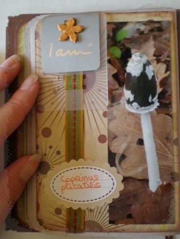Mini balade d'automne (24)