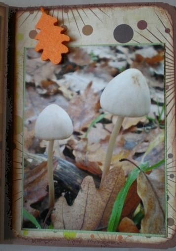 Mini balade d'automne (25)