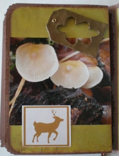 Mini balade d'automne (27)
