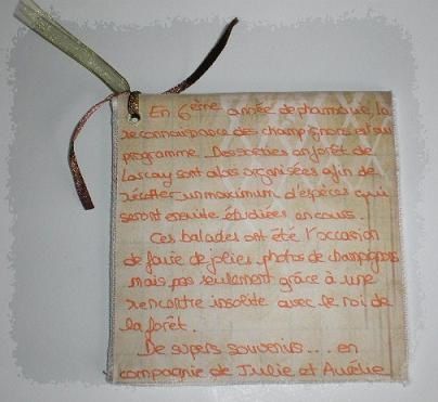Mini balade d'automne (41)