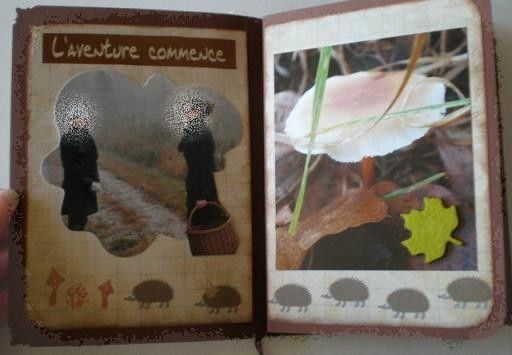 Mini balade d'automne (8)