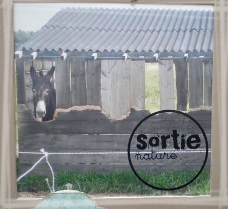 Album sortie nature (2)