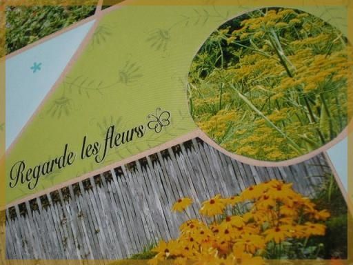 Fleurs (3)
