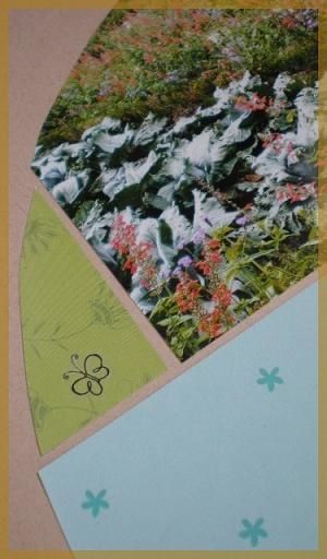 Fleurs (4)