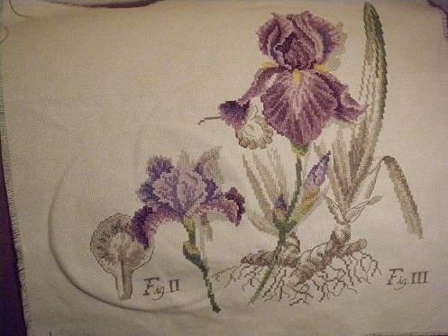 1er-Fevrier-Bernadette-2.jpg