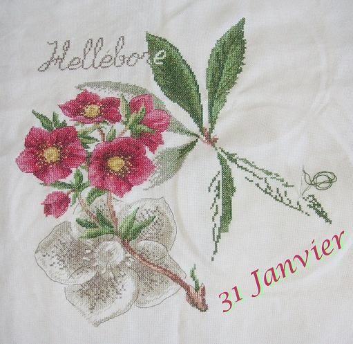 1er Février Delphine 1