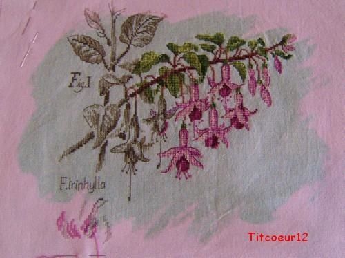1er Février titcoeur12 1