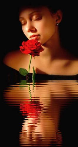 jeunefille--larose-copie-1.jpg