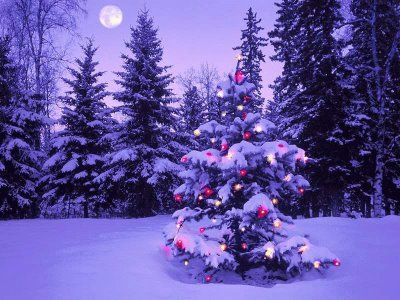 joyeux-noel.jpg