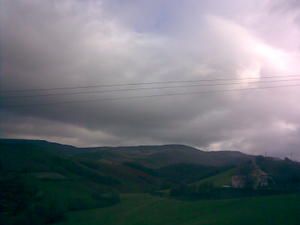 8dec07.jpg