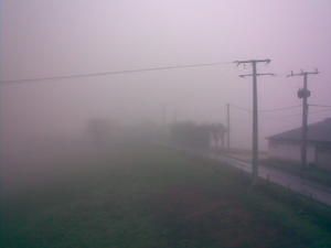 23dec07.jpg