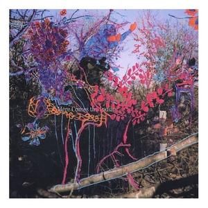 animal-collective.jpg