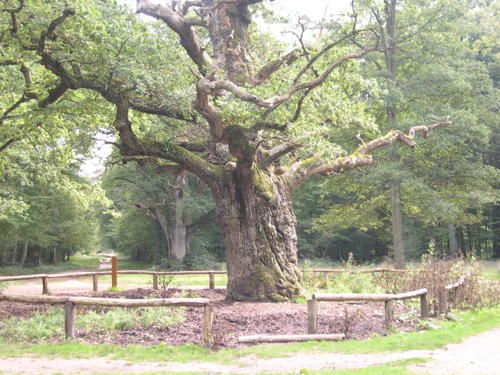 rencontre foret de senart