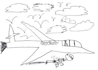 2007.10.23-avion-et-oiseau-chass---par-missileA.jpg