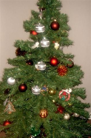 DSC08234 (Small)