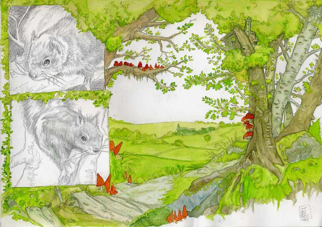 Pour-Corinne--version-couleur-.jpg