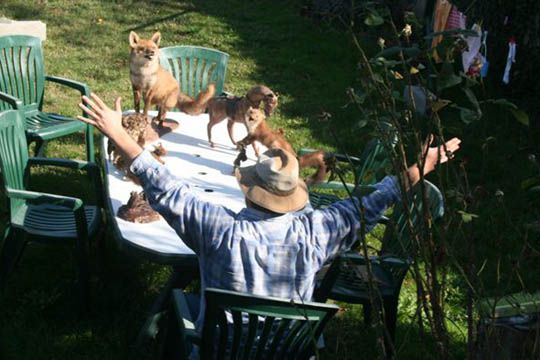 J (l'a) B devant le conseil de la faune J (l'a) B devant le conseil de la faune