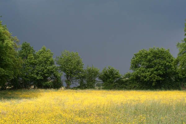 Ciel d'orage Ciel d'orage