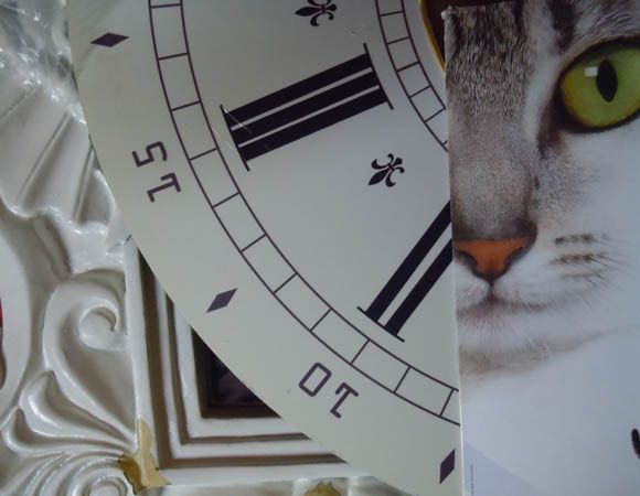 Horloge et chat