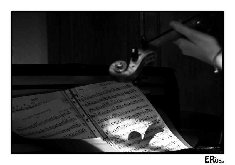 musique-violon-mozart-kleine-nachtmusik-8156.jpg