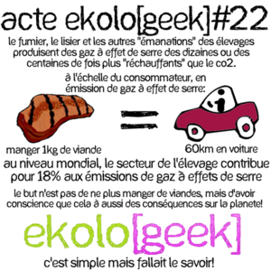 ekologeek22.png