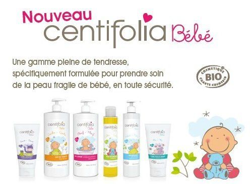 centifolia-bebe.jpg
