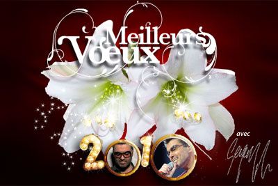 meilleursvoeux2010