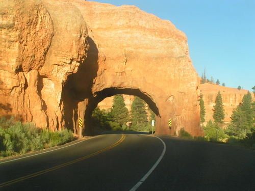 PICT0237.JPG