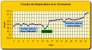 courbe femme enceinte courbe femme enceinte
