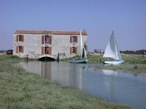 362-1.jpg
