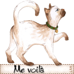 chatmevoila.gif
