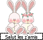 salutlesamies.gif