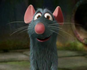 photo4-ratatouille.jpg