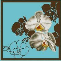 Orchid-4-fond-turquoise-SM.jpg