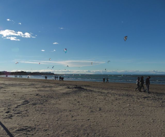 P1020782.jpg