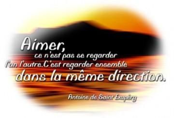 Le Papillon En Citations Naturaimer