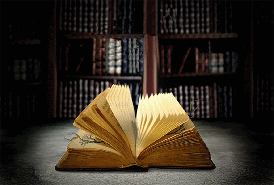 1201220635191038759330561.gif