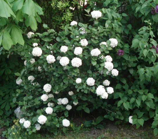 Photo 2222 140