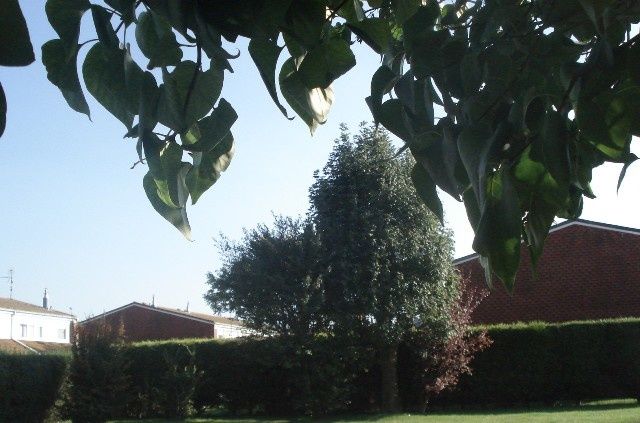 Photo 2222 1281