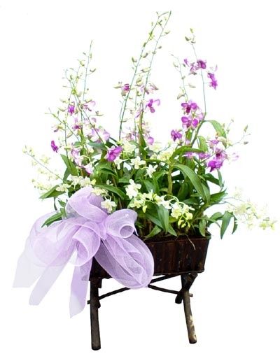 fleurrs gif