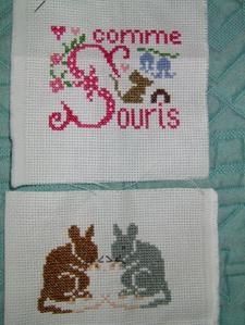 souris-M.jpg
