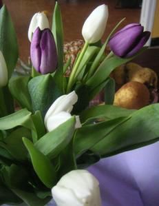 tulipes-de-pr--s.jpg