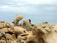 PICT0060.jpg