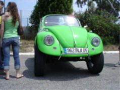 normal-7226.jpg