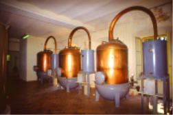 Grasse_Parfums2-Fragonard.jpg