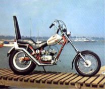 fantic-chopper-html-m2ed3dc6.jpg