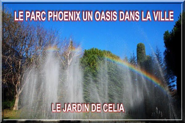 janvier2011-0473.JPG