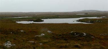 Connemara Irlande bruyère